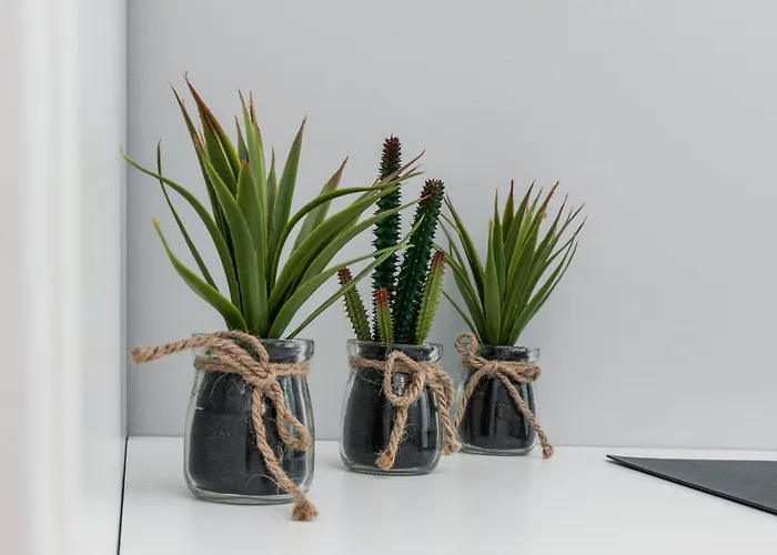 Apartment Nasypowa With Parking By Renters Gdynia